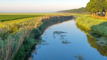 Préserver les milieux aquatiques